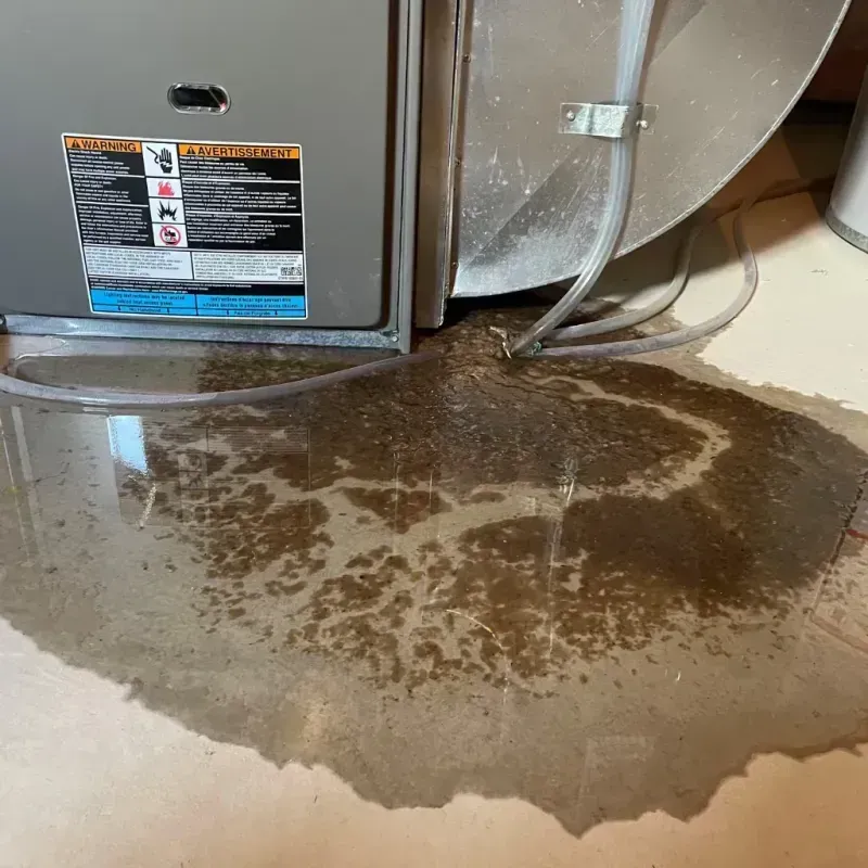 Appliance Leak Cleanup in Royalton, MN